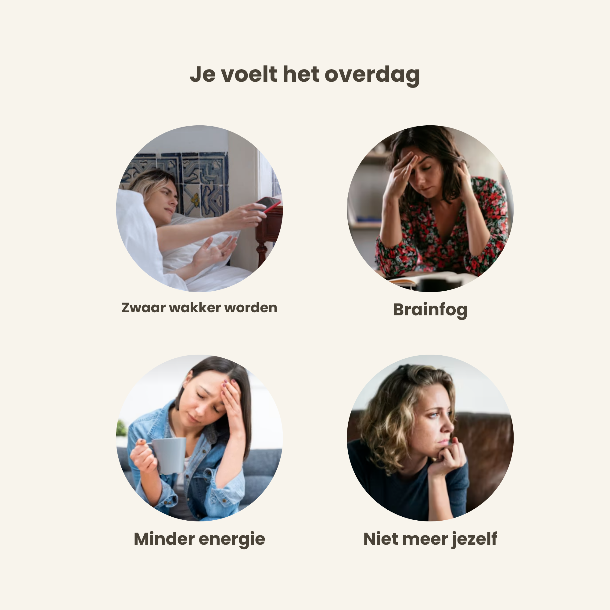 The Haeven Mondstrips